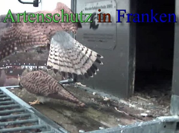 Copyright AiS- Wörner Bild zum Eintrag (47091-160)