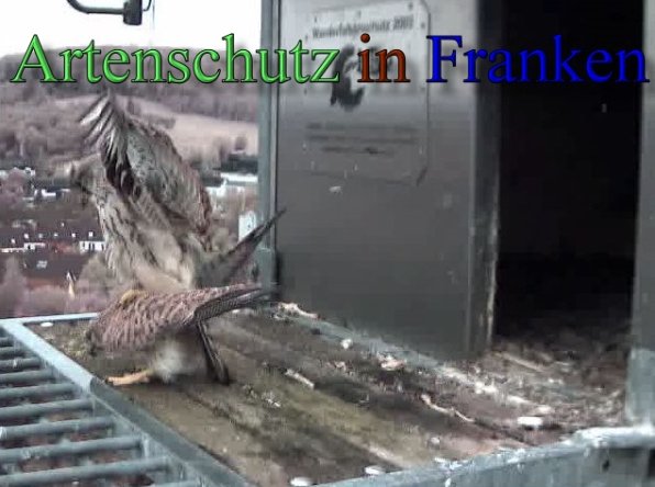 Copyright AiS- Wörner Bild zum Eintrag (47092-160)