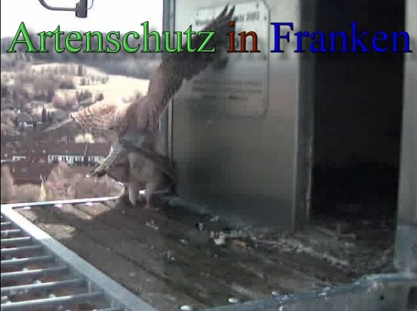 Copyright AiS- Wörner Bild zum Eintrag (47093-160)