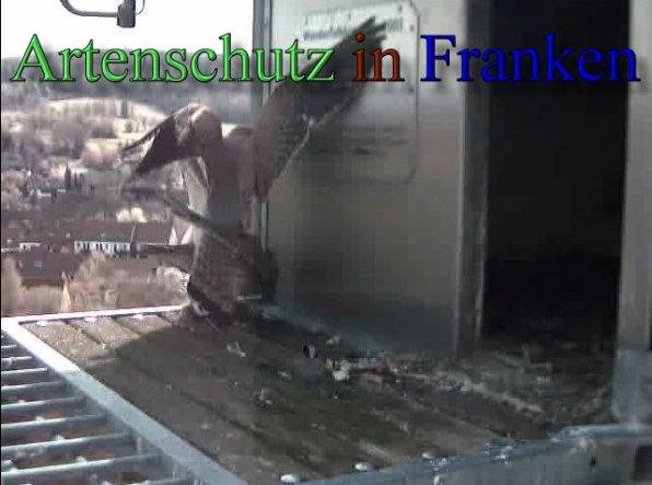 Copyright AiS- Wörner Bild zum Eintrag (47094-160)