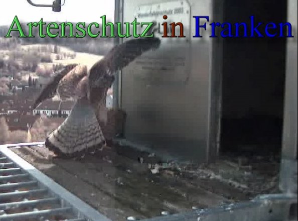 Copyright AiS- Wörner Bild zum Eintrag (47095-160)