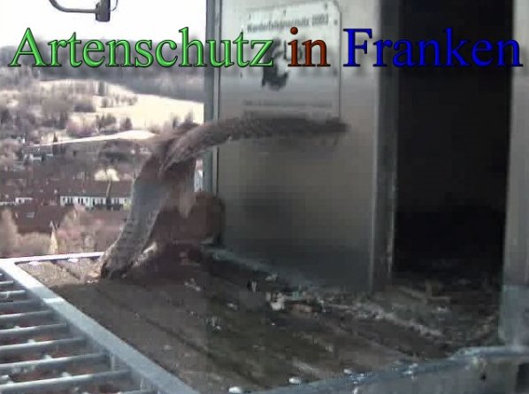 Copyright AiS- Wörner Bild zum Eintrag (47096-160)