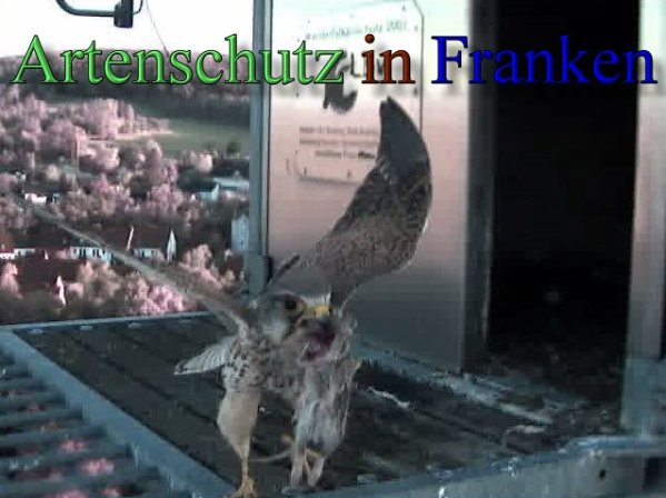 Copyright AiS- Wörner Bild zum Eintrag (47099-160)