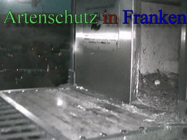 Copyright AiS- Wörner Bild zum Eintrag (47100-160)