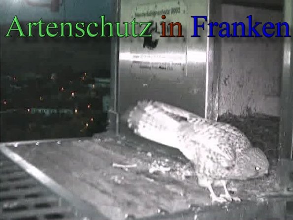 Copyright AiS- Wörner Bild zum Eintrag (47101-160)