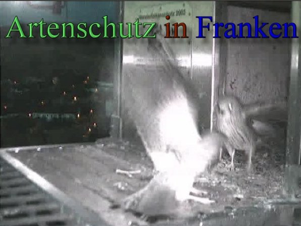 Copyright AiS- Wörner Bild zum Eintrag (47102-160)