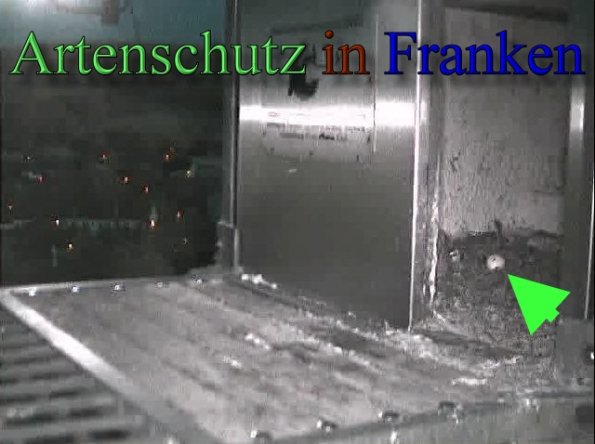 Copyright AiS- Wörner Bild zum Eintrag (47105-160)