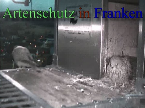 Copyright AiS- Wörner Bild zum Eintrag (47106-160)