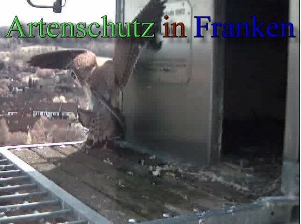 Copyright AiS- Wörner Bild zum Eintrag (47107-160)