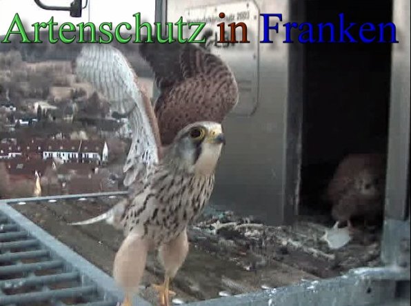 Copyright AiS- Wörner Bild zum Eintrag (47108-160)