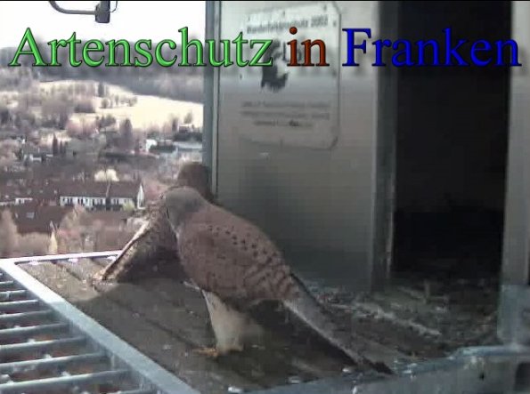 Copyright AiS- Wörner Bild zum Eintrag (47109-160)