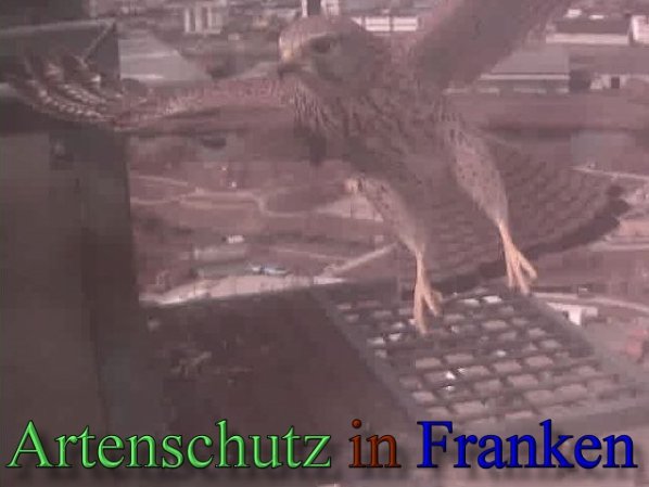 Copyright AiS- Wörner Bild zum Eintrag (47110-160)