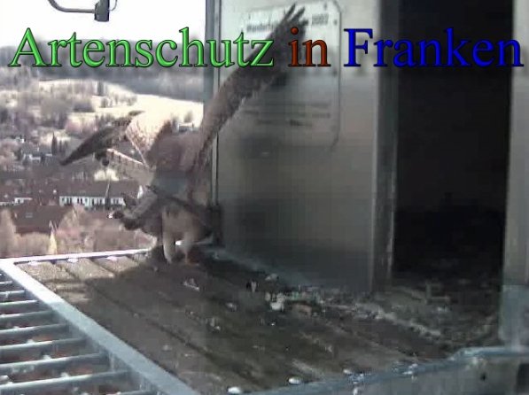 Copyright AiS- Wörner Bild zum Eintrag (47111-160)