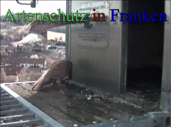 Copyright AiS- Wörner Bild zum Eintrag (47112-160)