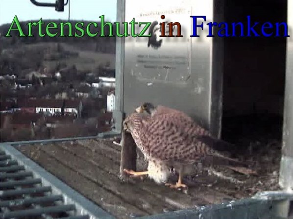 Copyright AiS- Wörner Bild zum Eintrag (47113-160)