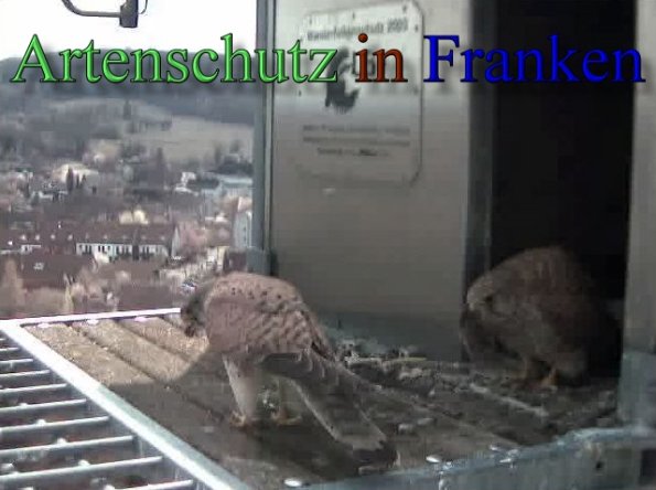Copyright AiS -Wörner Bild zum Eintrag (47114-160)