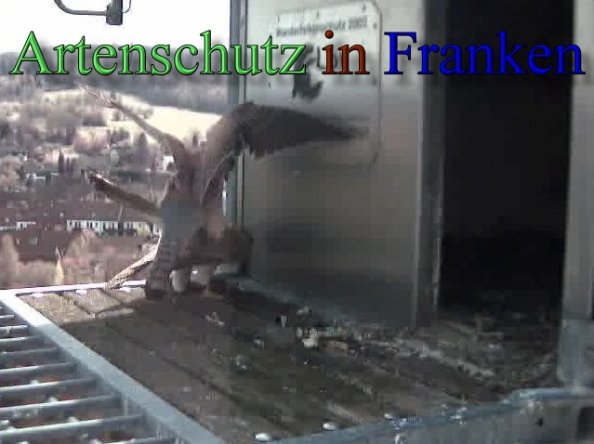 Copyright AiS- Wörner Bild zum Eintrag (47117-160)