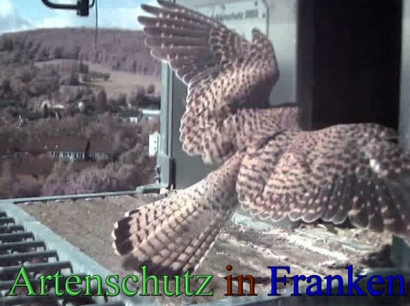 Copyright AiS- Wörner Bild zum Eintrag (47120-160)