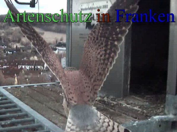 Copyright AiS- Wörner Bild zum Eintrag (47121-160)