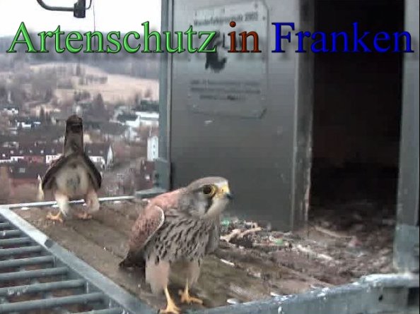 Copyright AiS- Wörner Bild zum Eintrag (47122-160)