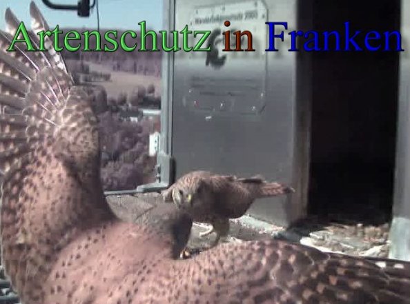 Copyright AiS- Wörner Bild zum Eintrag (47124-160)