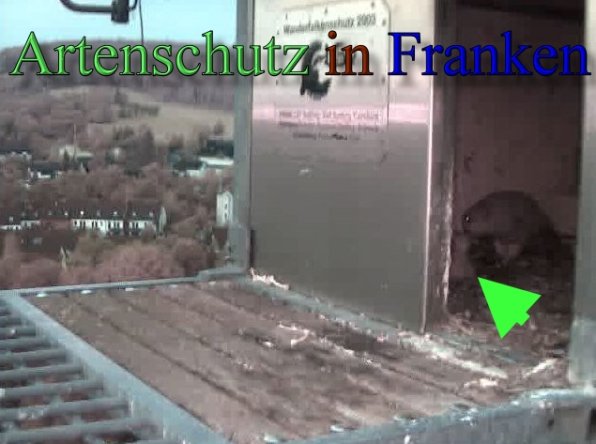 Copyright AiS- Wörner Bild zum Eintrag (47126-160)