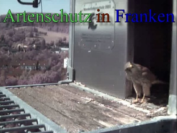 Copyright AiS- Wörner Bild zum Eintrag (47127-160)