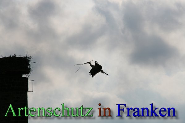 Copyright AiS Brigitte Schmitt Bild zum Eintrag (47245-160)