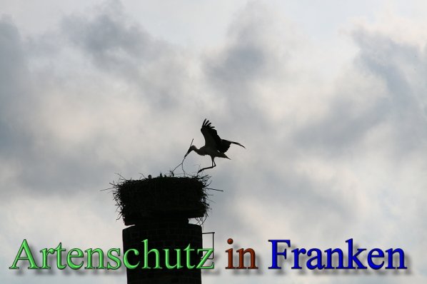Copyright AiS Brigitte Schmitt Bild zum Eintrag (47246-160)