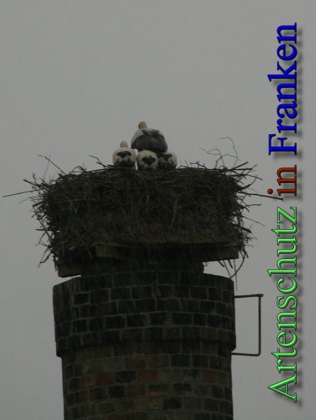 Copyright AiS Brigitte Schmitt Bild zum Eintrag (47247-160)