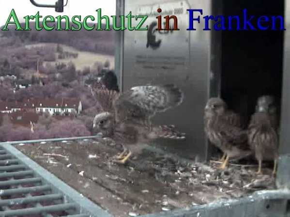 Copyright AiS- Wörner Bild zum Eintrag (47738-160)