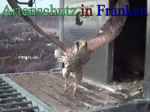 Copyright AiS- Wörner Bild zum Eintrag (47745-160)