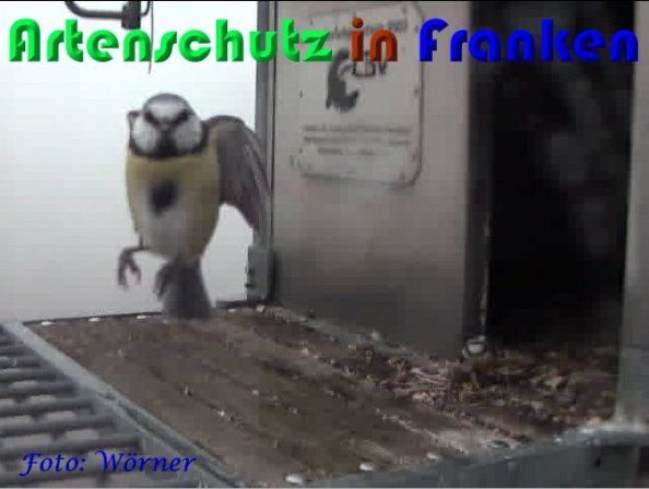 Copyright AiS Wörner Bild zum Eintrag (56955-160)