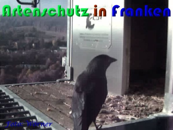 Copyright AiS Wörner Bild zum Eintrag (56956-160)