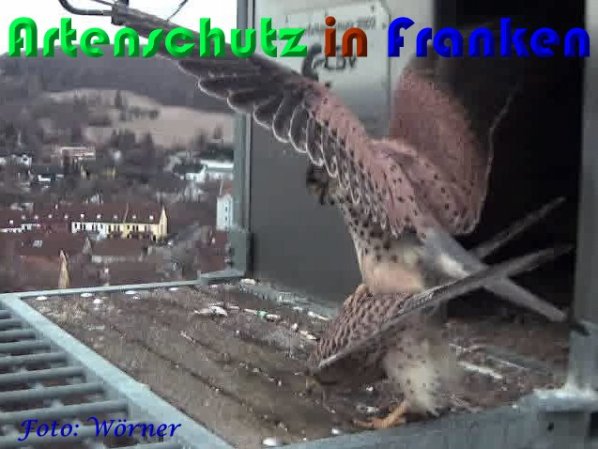 Copyright AiS Wörner Bild zum Eintrag (56962-160)