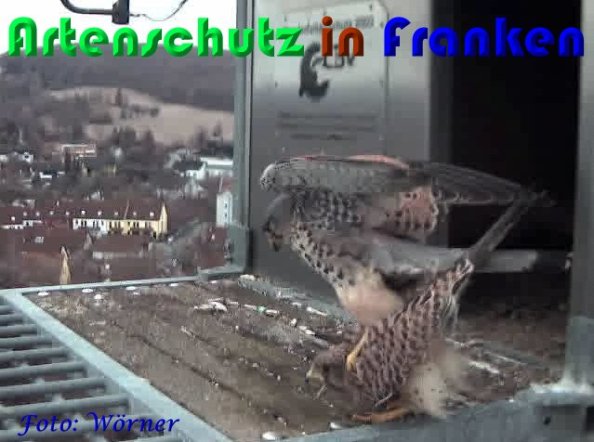 Copyright AiS Wörner Bild zum Eintrag (56963-160)
