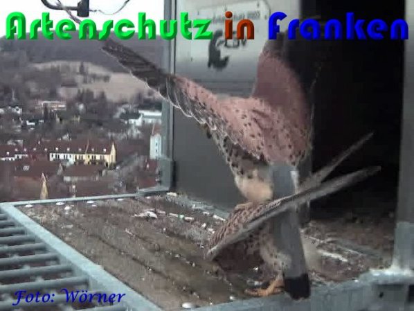 Copyright AiS Wörner Bild zum Eintrag (56964-160)