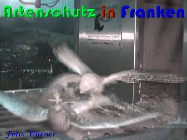 Copyright AiS Wörner Bild zum Eintrag (56972-160)