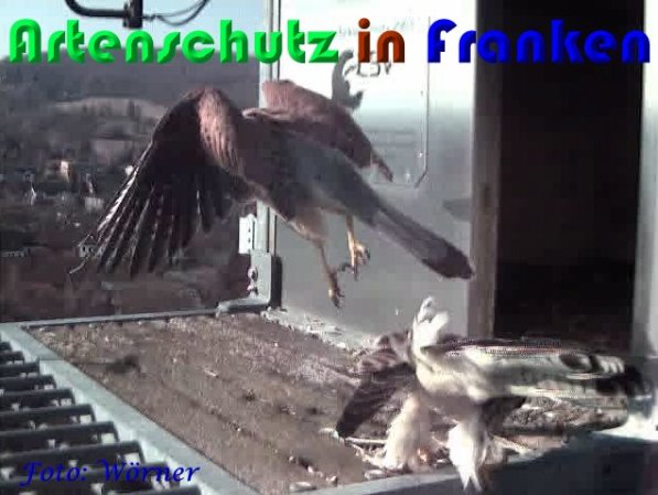 Copyright AiS Wörner Bild zum Eintrag (56975-160)
