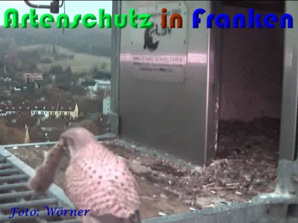 Copyright AiS Wörner Bild zum Eintrag (56977-160)