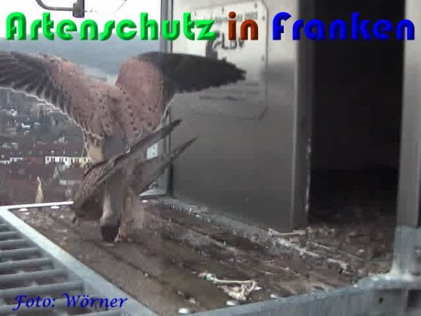 Copyright AiS Wörner Bild zum Eintrag (56978-160)