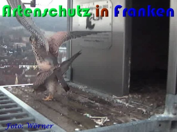 Copyright AiS Wörner Bild zum Eintrag (56979-160)