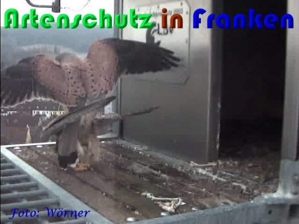 Copyright AiS Wörner Bild zum Eintrag (56980-160)