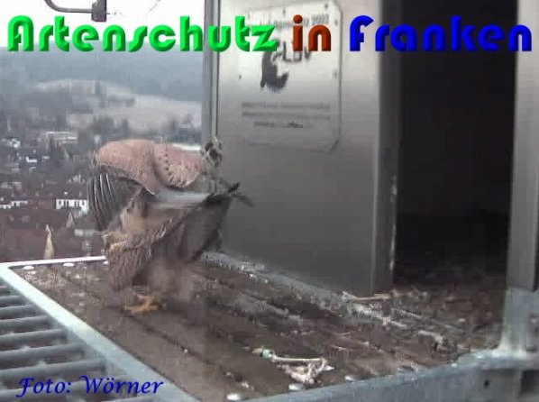 Copyright AiS Wörner Bild zum Eintrag (56982-160)