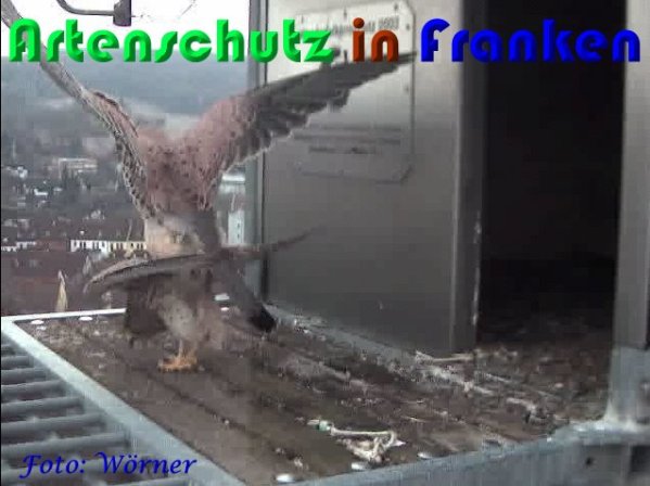 Copyright AiS Wörner Bild zum Eintrag (56983-160)