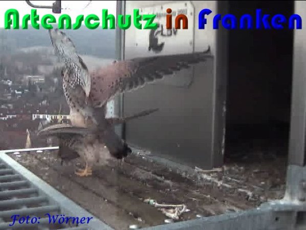 Copyright AiS Wörner Bild zum Eintrag (56984-160)