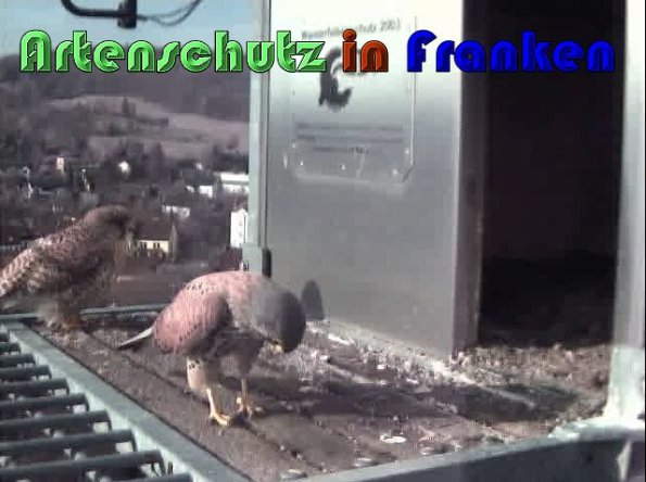 Bild zum Eintrag (57421-160)