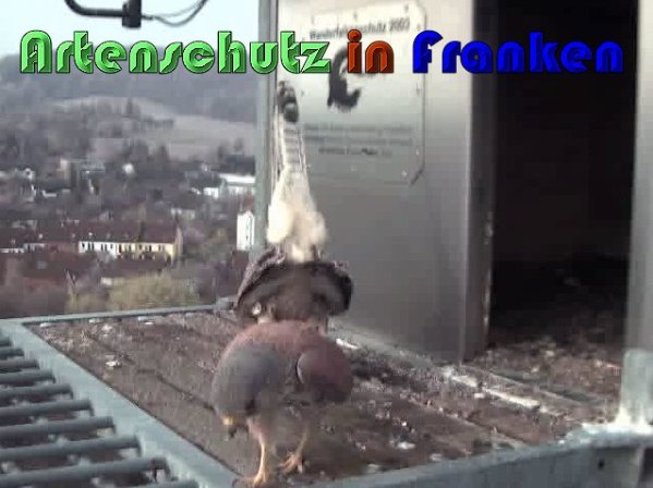 Copyright AiS Wörner Bild zum Eintrag (57424-160)