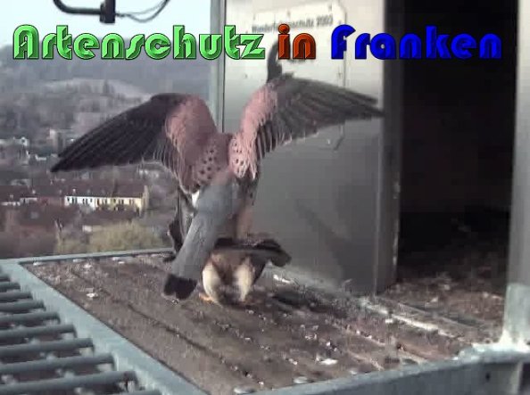 Copyright AiS Wörner Bild zum Eintrag (57425-160)