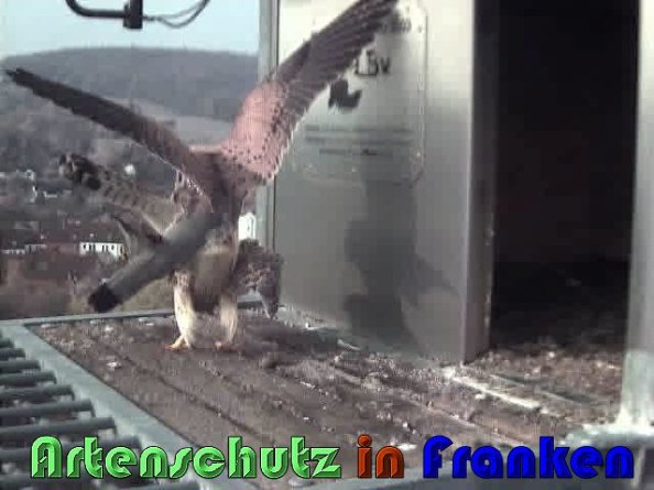 Copyright AiS Wörner Bild zum Eintrag (57426-160)